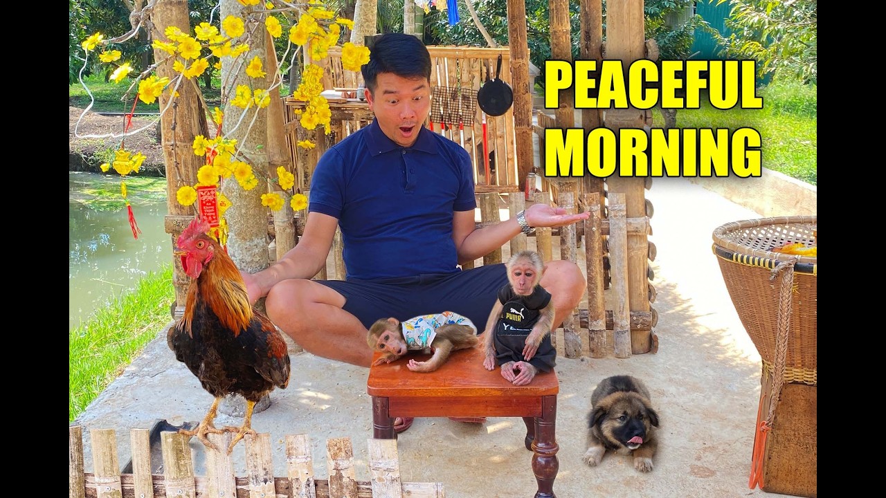 Peaceful Cooking For JOBI & HOPE By The Warm Fire 🔥