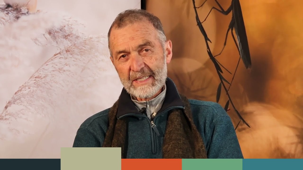 Drôles d'oiseaux - Michel Munier 