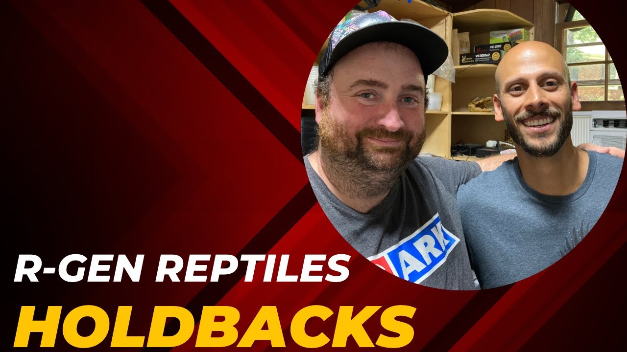 R-Gen Reptiles Shows Off Holdbacks...(DG,Pied,Clown)