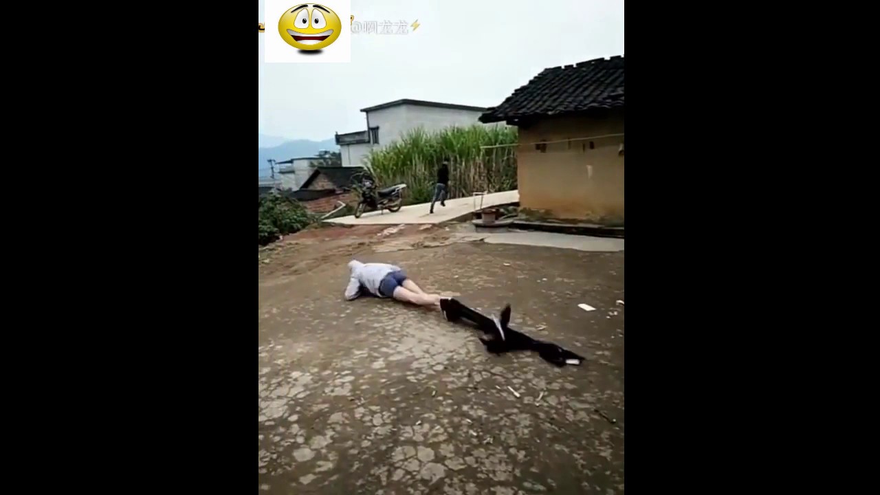Video H&agrave;i Hước Nhất Thế Giới p37 - Video H&agrave;i 2017
