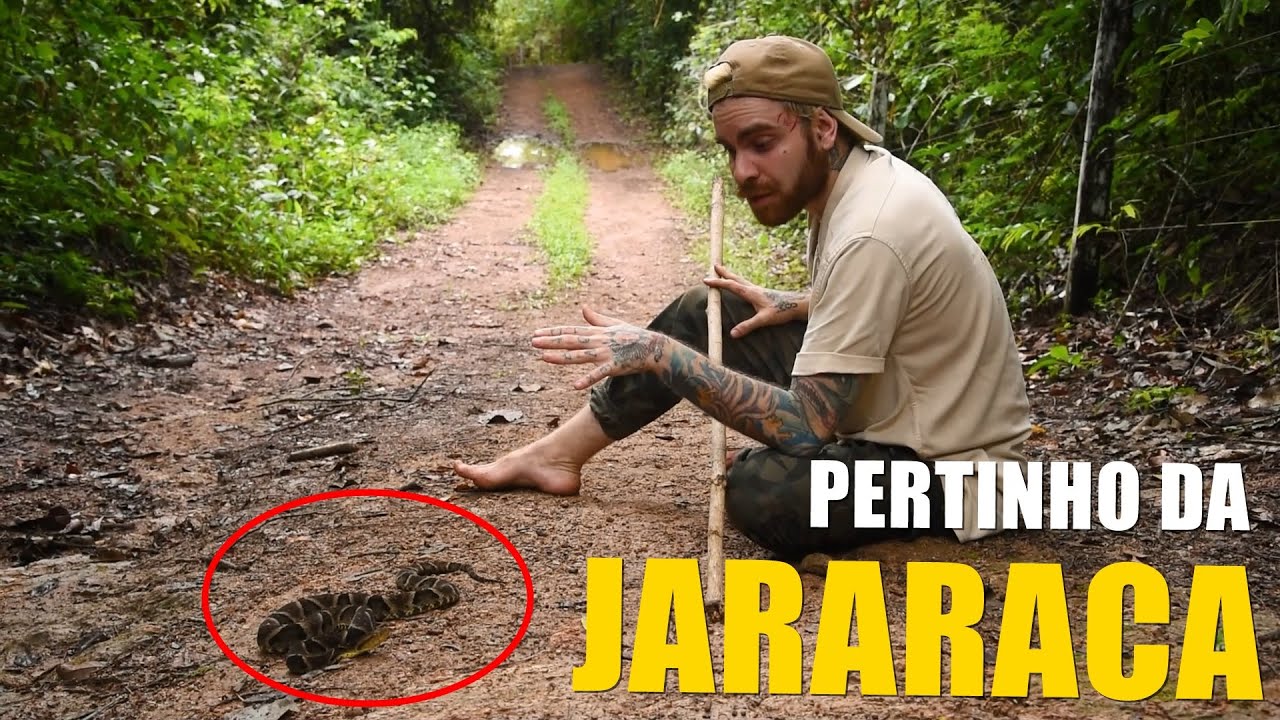 JARARACA &Eacute; PERIGOSA MESMO? | PAPO DE BI&Oacute;LOGO