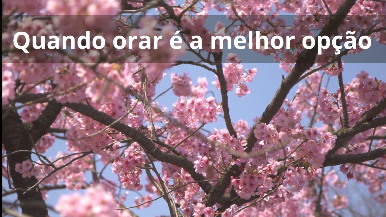 Quando orar &eacute; a melhor op&ccedil;&atilde;o - Momento Esp&iacute;rita