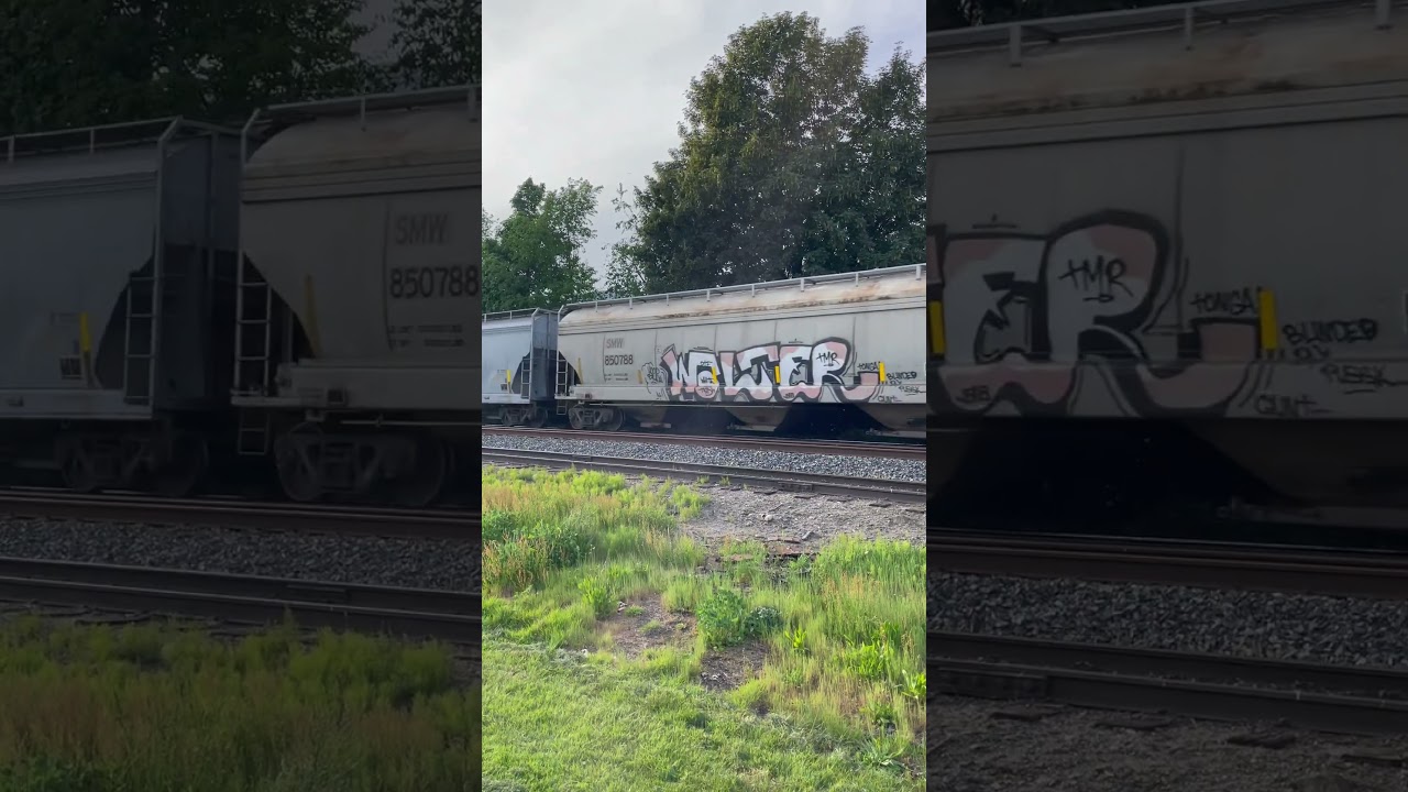 CN ET44AC & ES44AC grain train Agassiz BC May 8, 2025 part 3