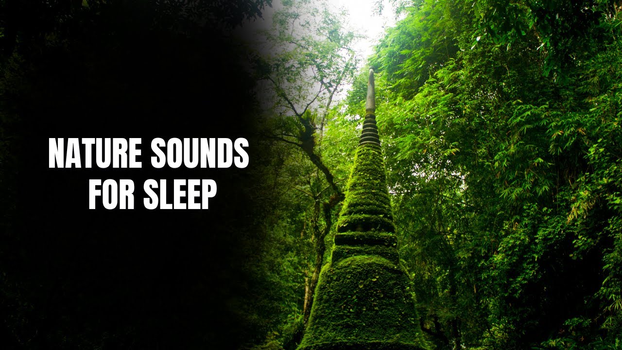 Nature Sounds & Relaxing Music for Sleep, Reading, Meditation or Study