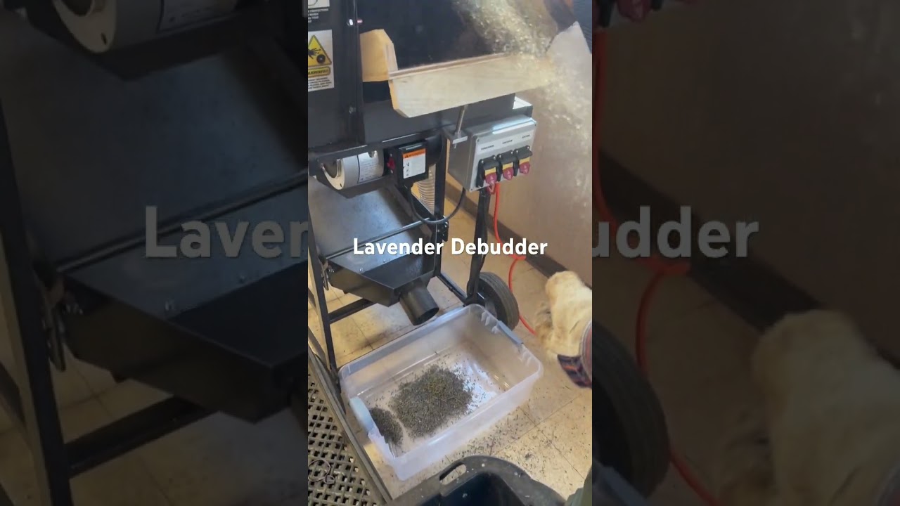 Lavender Debudder #farming101 #farming #lavender #agriculture #horticulture #foodprocessing