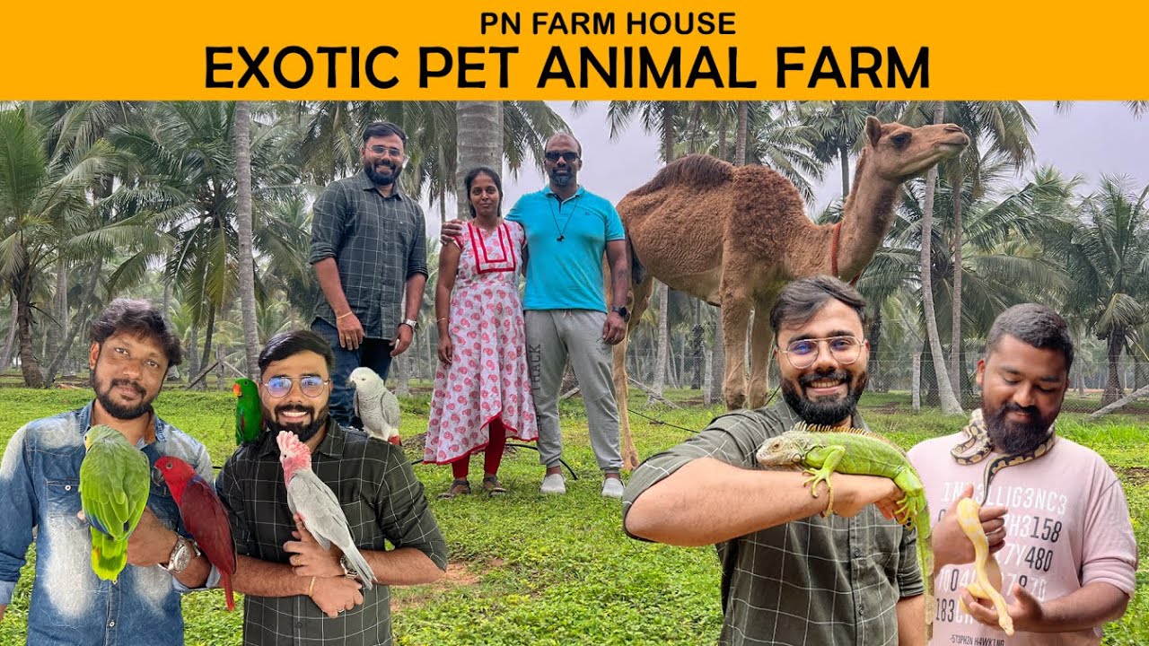 Exotic Pet Animals Farm House ஒட்டகம் | கழுதை Python | Exotic Birds