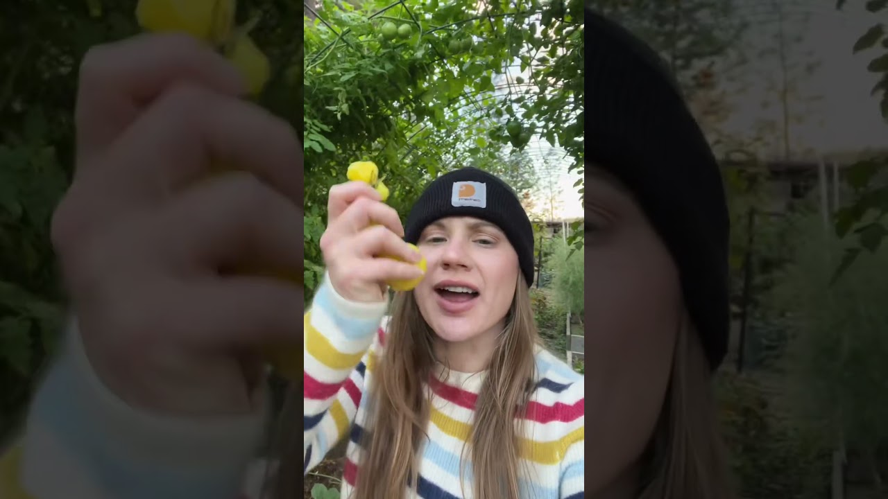 Last night&rsquo;s #gardentotable dinner 😋🥦 #growyourownfood #gardenharvest #zone9garden