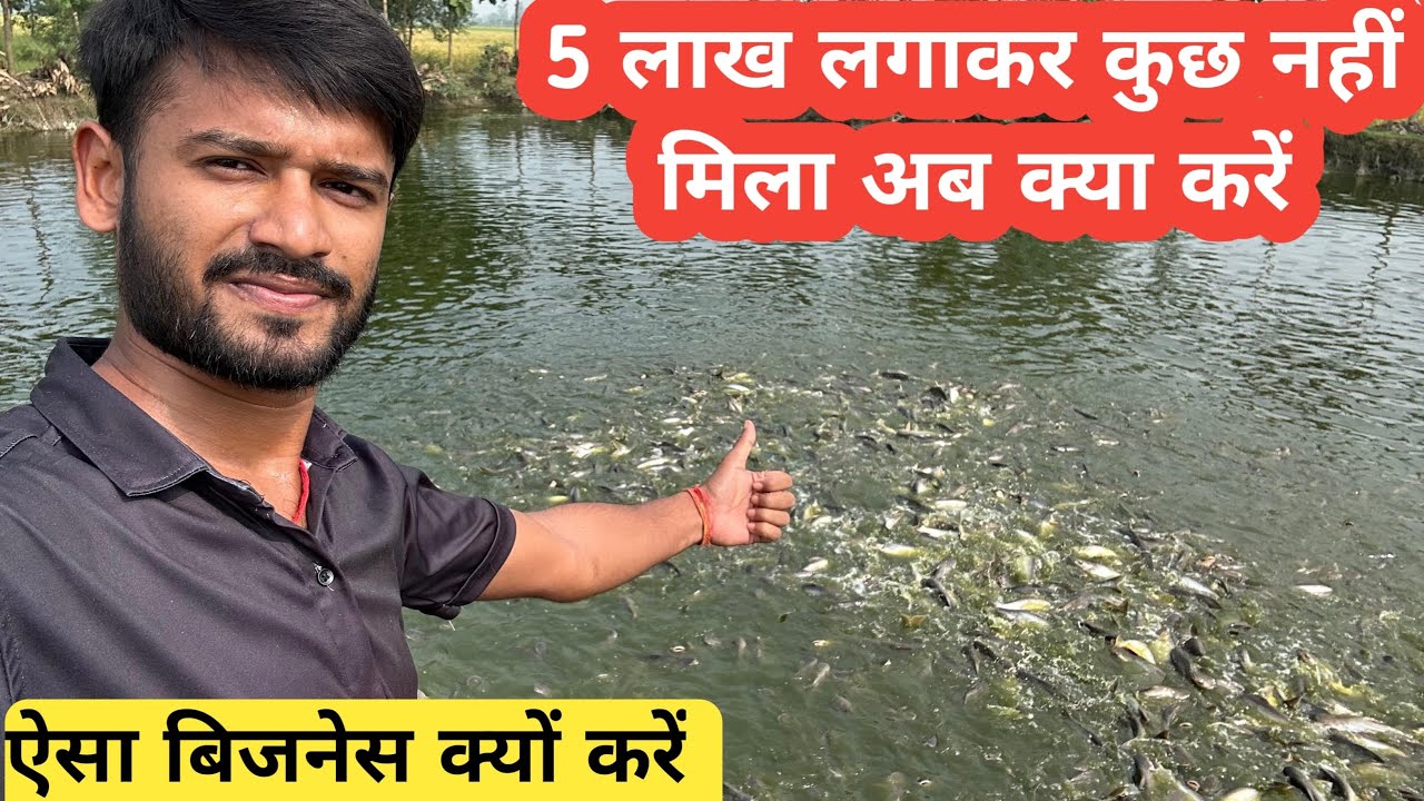 Fastest growing fish for farming in India ।। Indian fish farm ।। pangas fish farming ।machli palan।