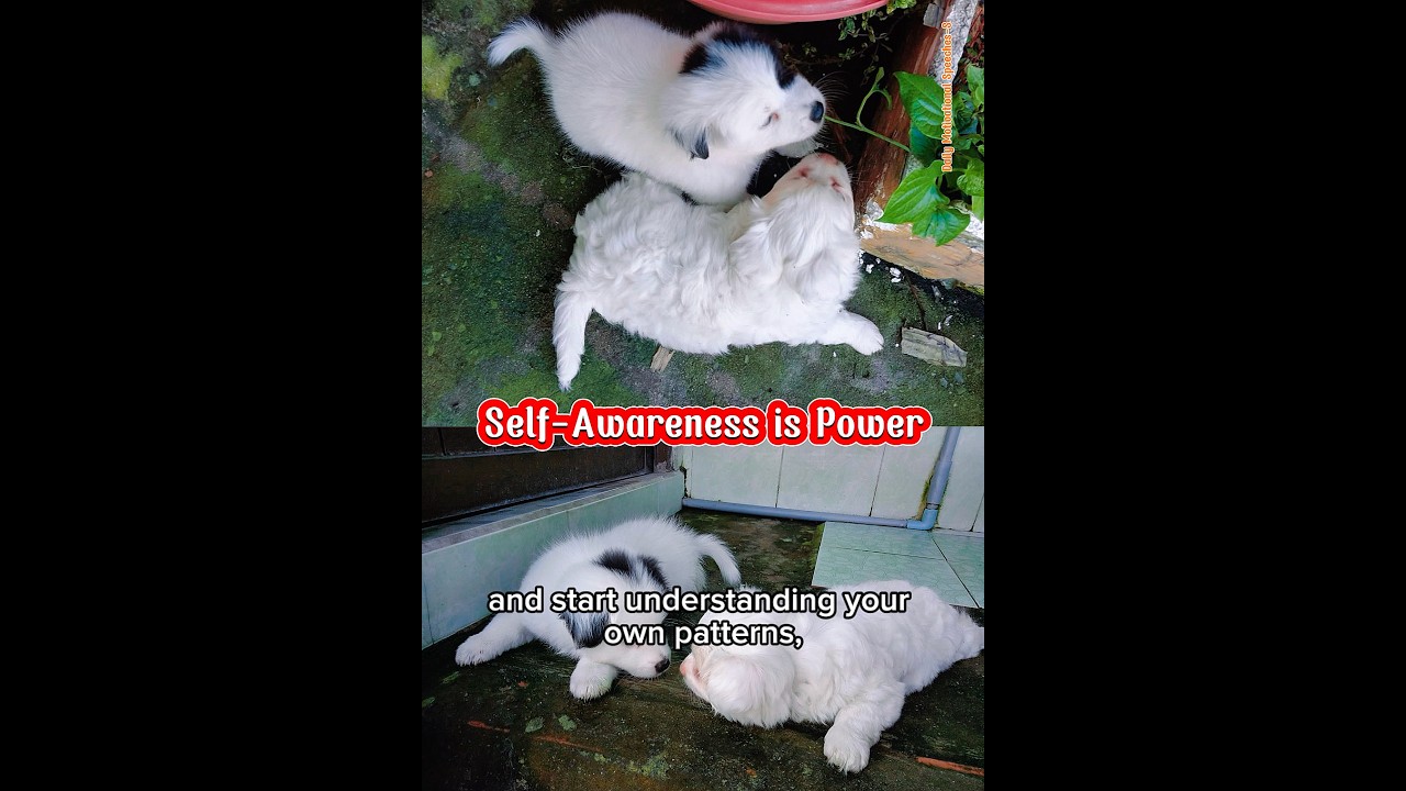 Self-Awareness Is Power – Motivational Speech #62 