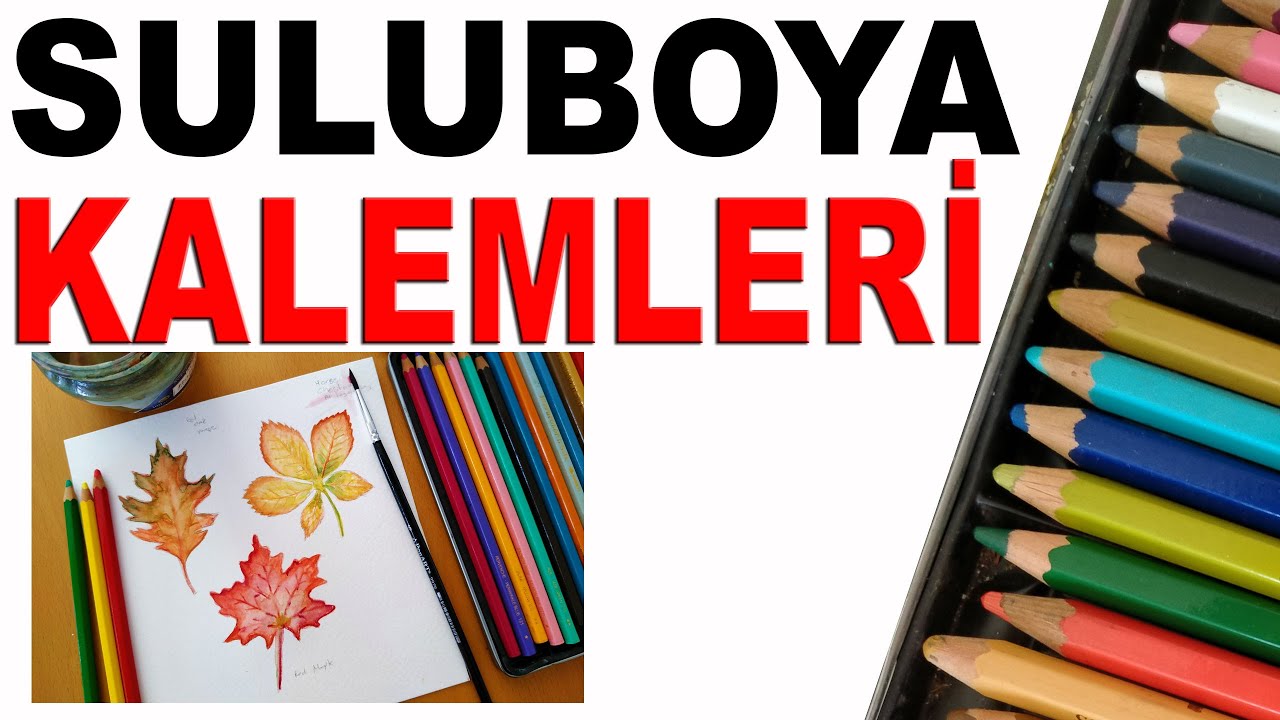 Suluboya Kalemleri ile Yaprak Çizimi / How to Use Watercolor Pencils - Techniques and Demonstration
