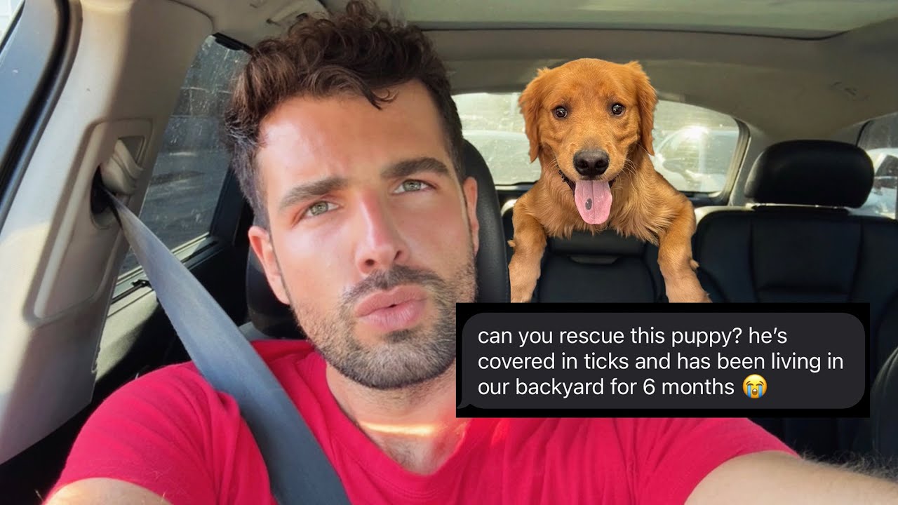 I Rescued an Abandoned Puppy