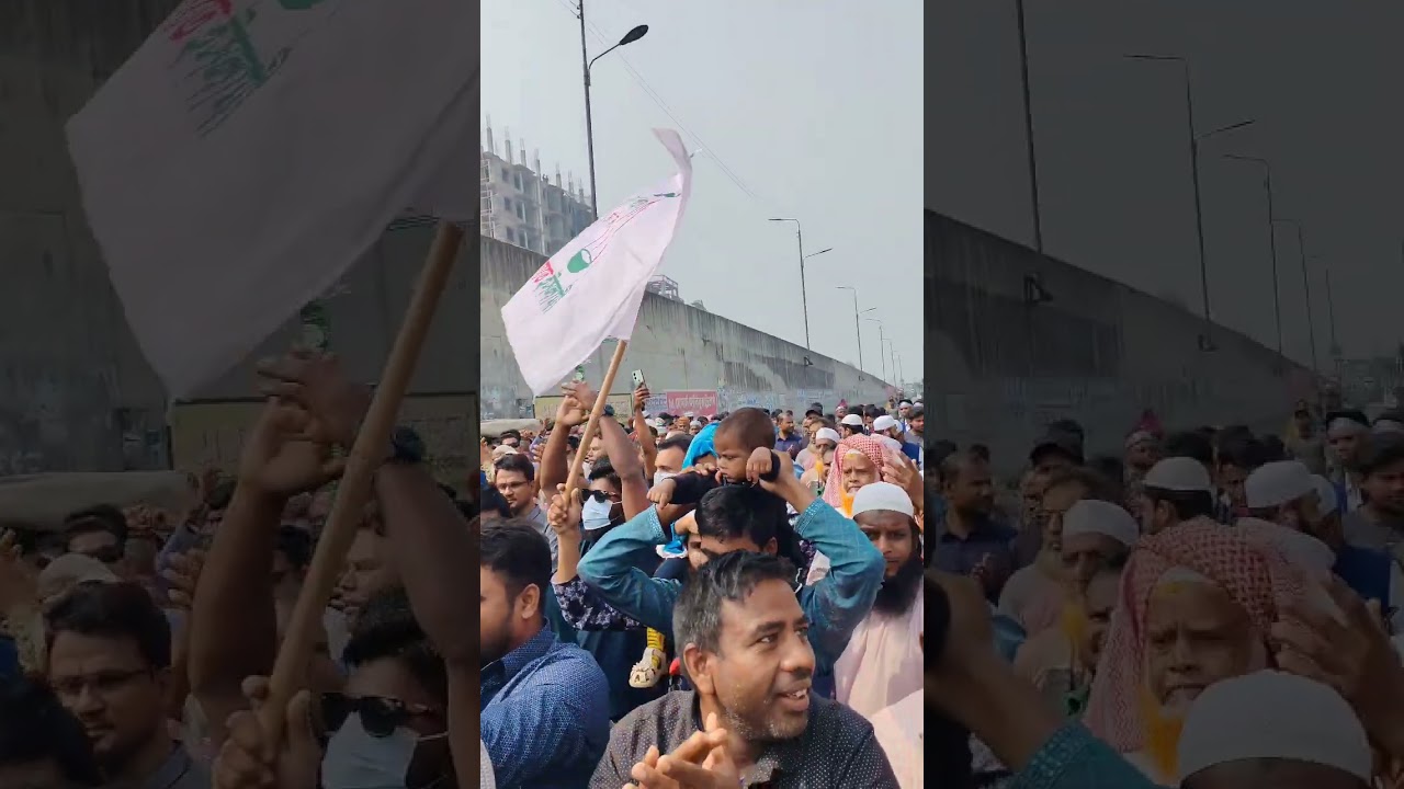 টাঙ্গাইল জেলার মির্জাপুর উপজেলায় বাংলাদেশ জামাত ইসলামের কর্তৃক আয়োজিত 11 দলীয় ঐক্য জোটের মিছিল...