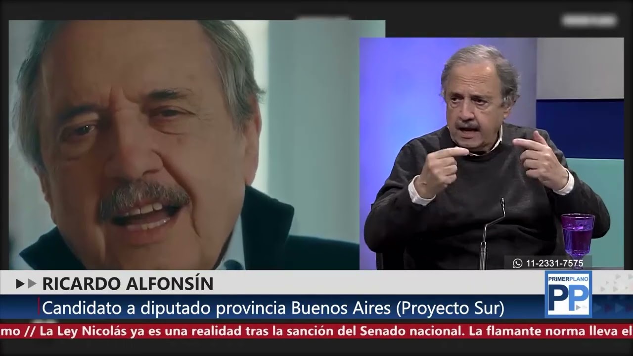 PROYECTO SUR: RICARDO ALFONS&Iacute;N, MARINA CASSESE Y SUS CR&Iacute;TICAS AL GOBIERNO DE JAVIER MILEI