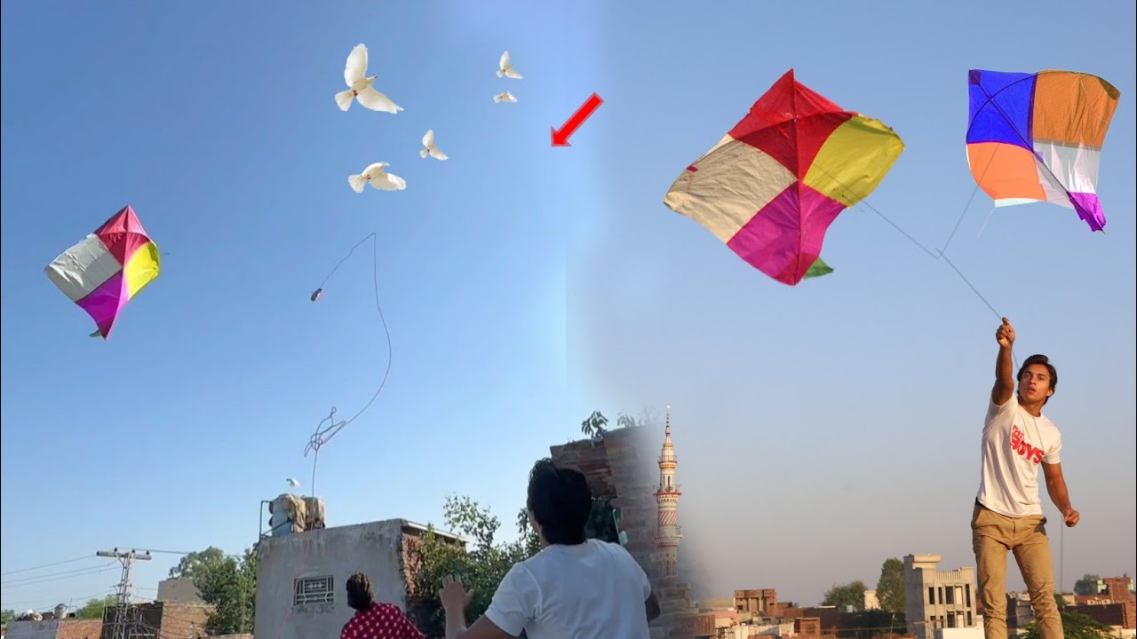 Big Colourful Gudda Catch Door Nasir With Umer | Kite