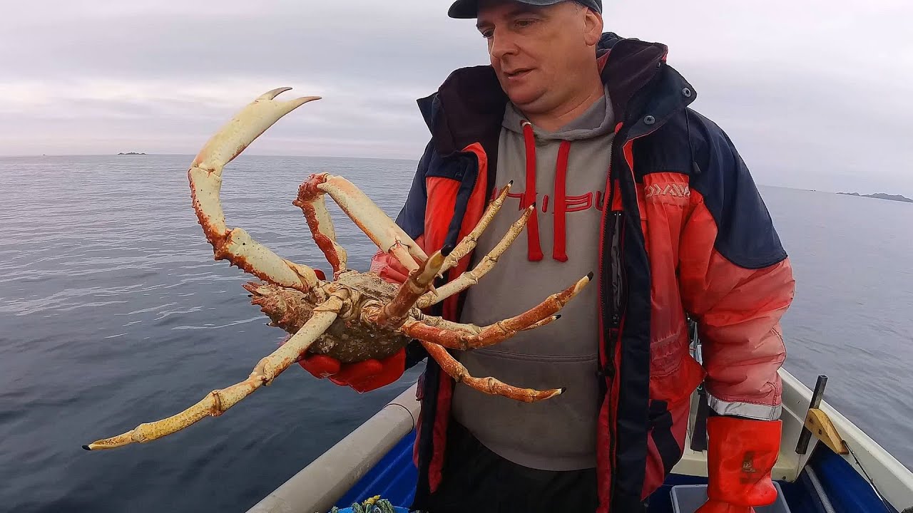 Enormous Crab 🦀 From Ocean to Plate