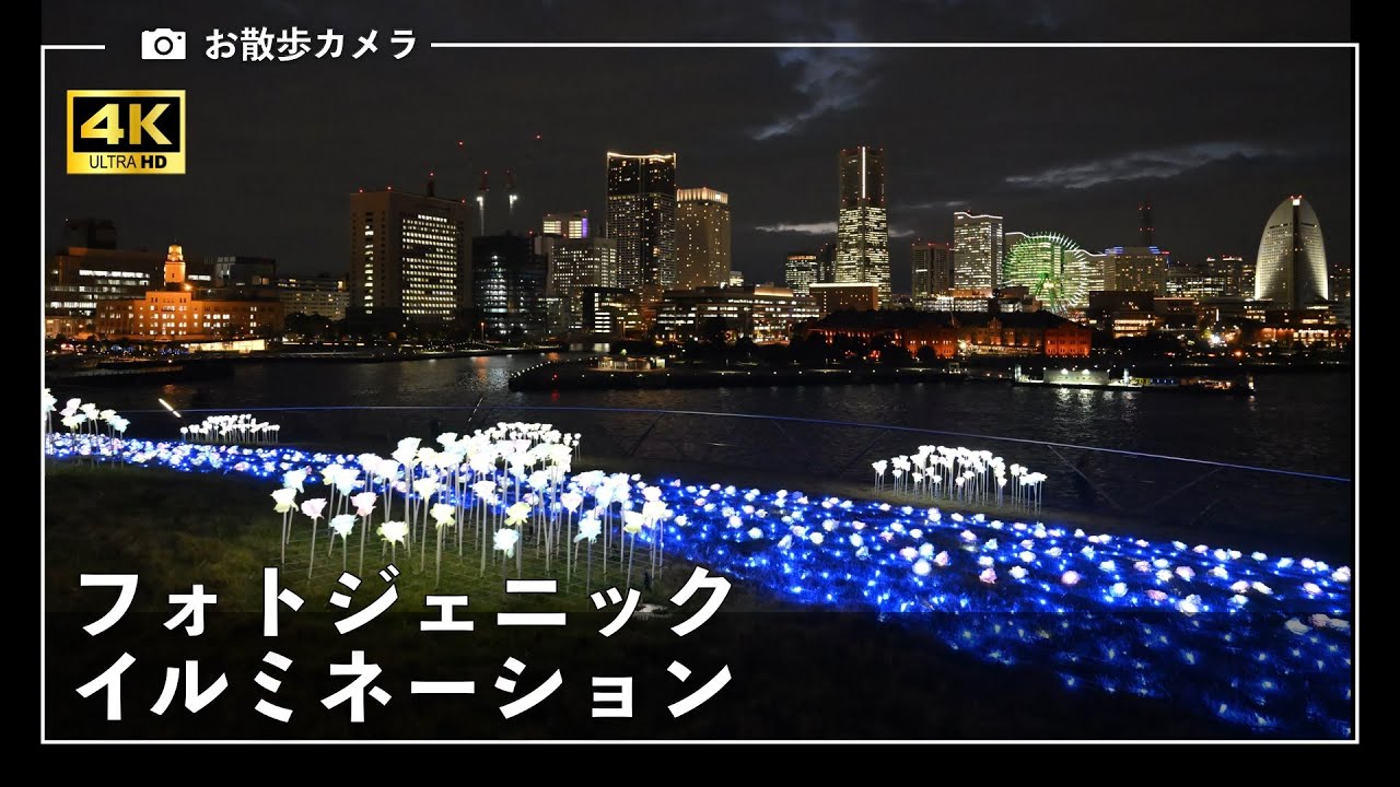 大さん橋フォトジェニックイルミネーション／プロジェクションマッピング　　象の鼻パーク