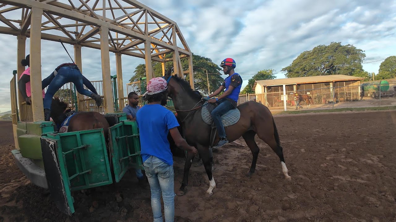 SHANE ELLIS SAID THIS AT CAYMANAS TRACK MORNING WORKOUT AT THE GATE ON JAN 29 2025