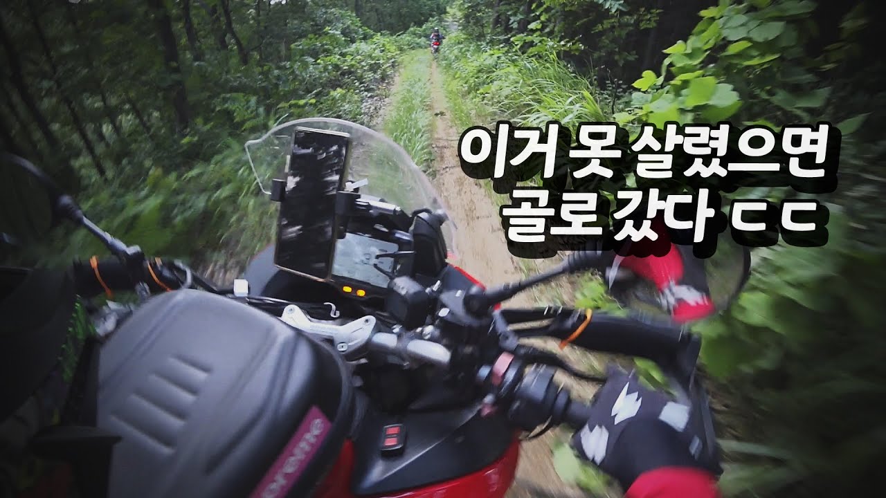 여름이 되니깐 꿀잼 코스가 된 단월 임도! | 한 번 가보세요 :)