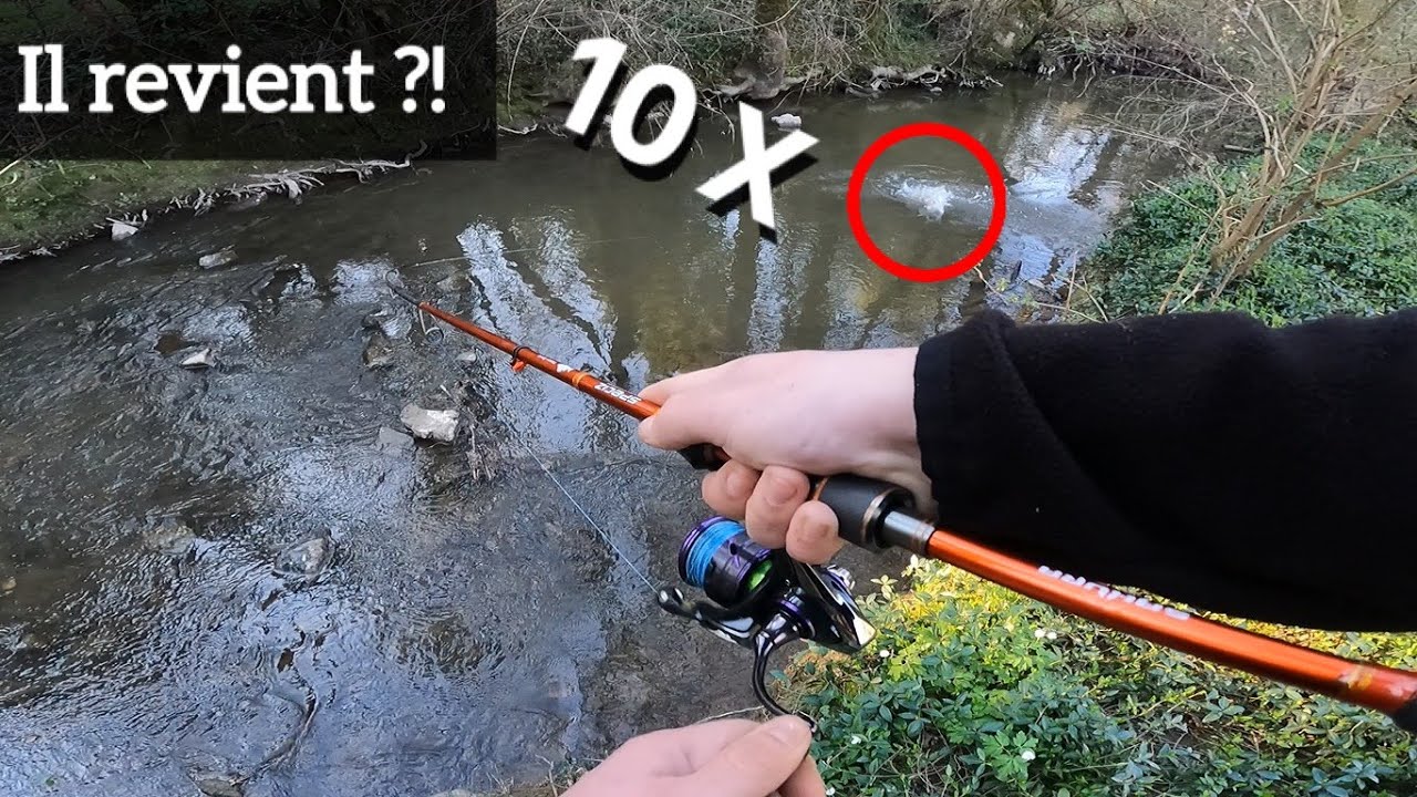 Ce poisson COMPLETEMENT FOU revient 10 X ?! (P&ecirc;che au leurre et au toc)
