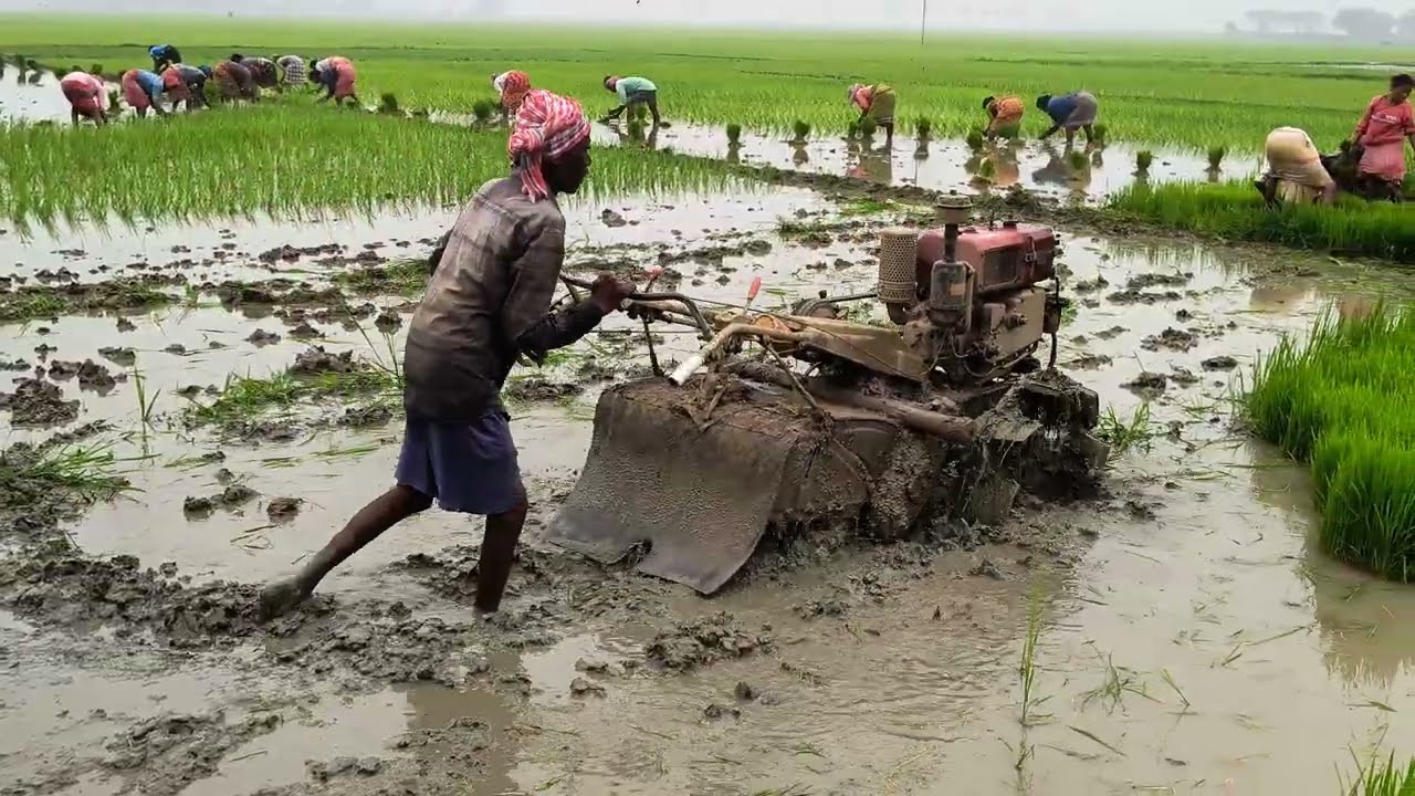 kamco Power Tiller puddling in deep Mud( subscribe and like for motivation)