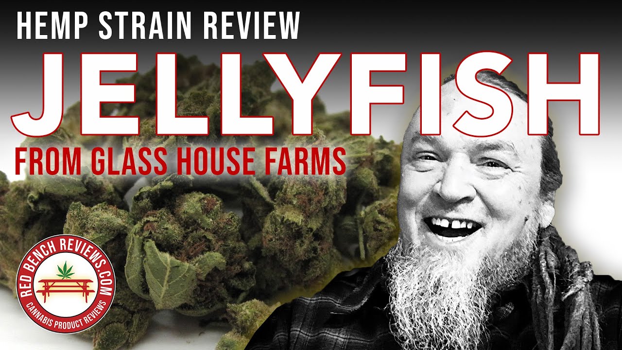 Glass House Farms | Jellyfish Strain Review | 17.87% CBD!