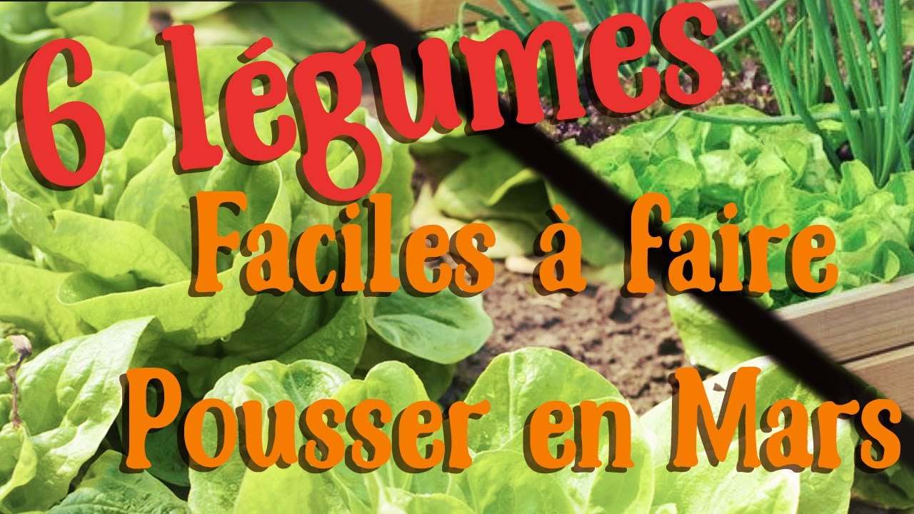 Les 5/6 l&eacute;gumes les plus faciles &agrave; faire en mars