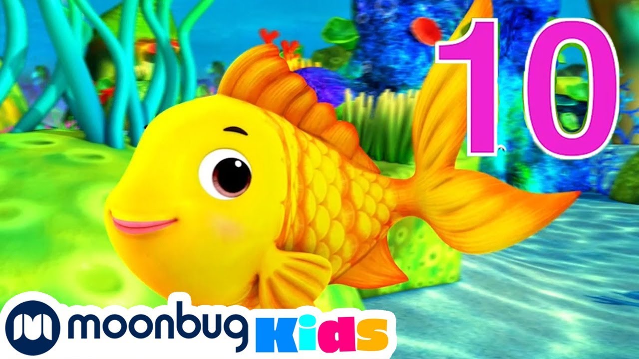 Wir z&auml;hlen Fische | Kinderlieder und Cartoons | Little Baby Bum | Moonbug Kids Deutsch