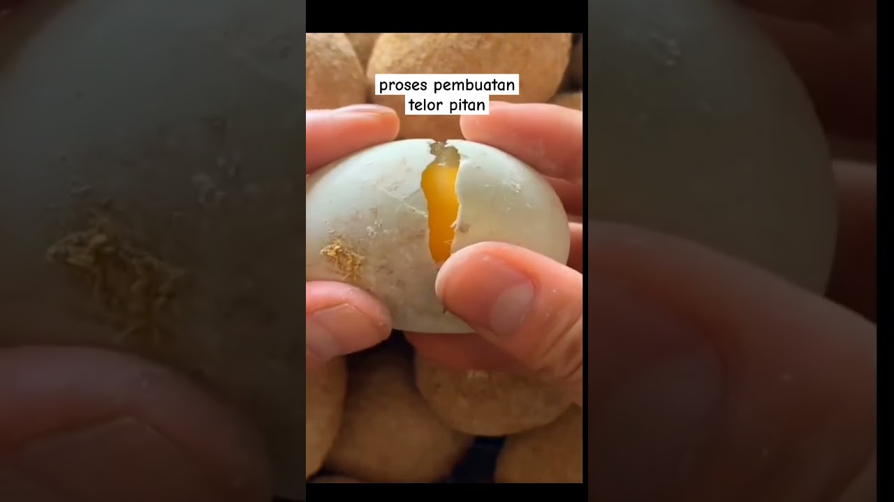 proses pembutan telor pitan