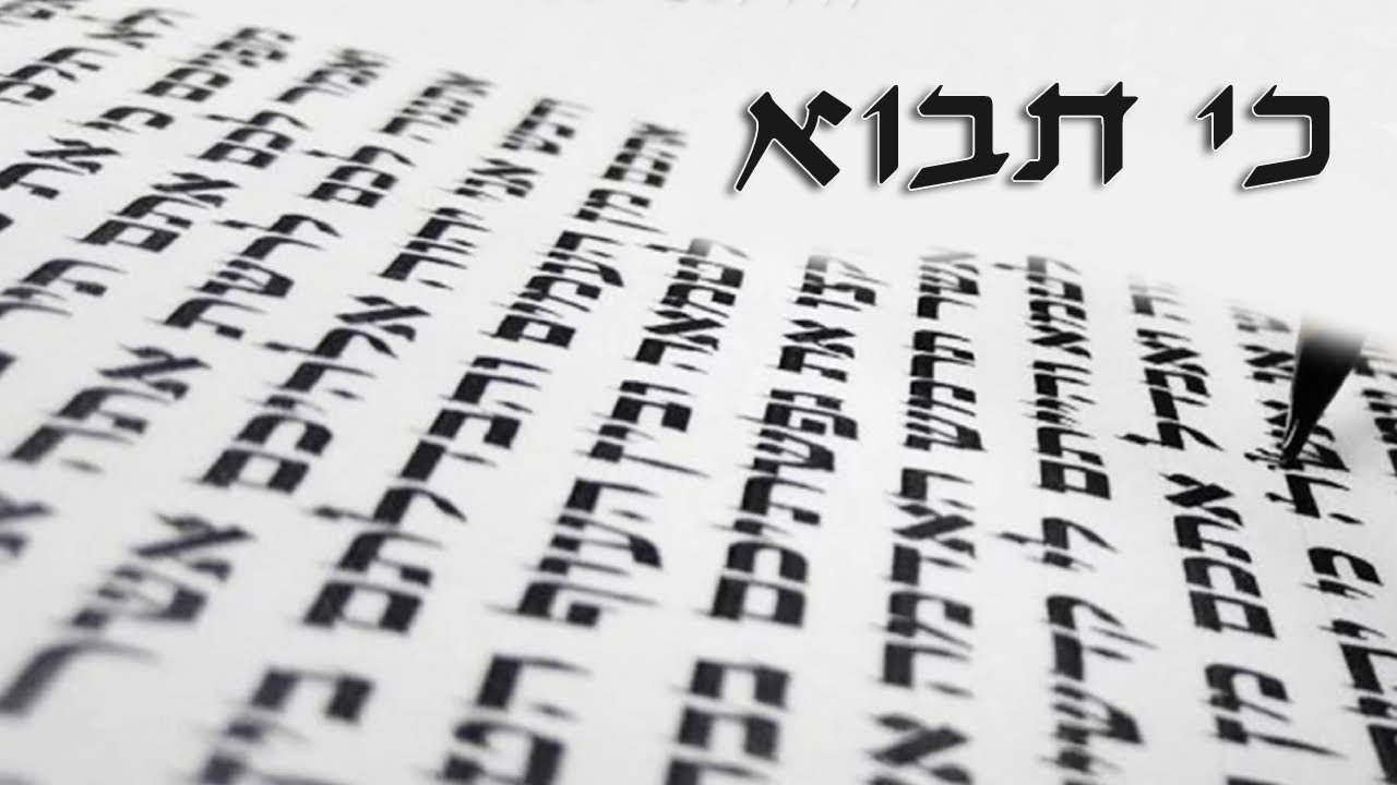 Do you see the miracles in your life? - Parashat Ki Tavo - Rabbi Alon Anava