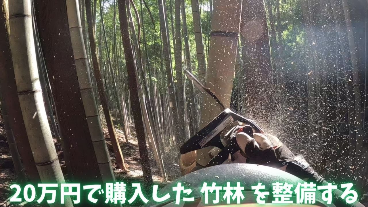 竹林管理の流れがわかるシリーズ#2　チェーンソーで竹を細切れに！　【20万円の竹林整備】