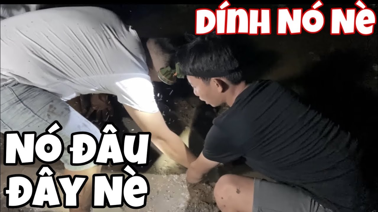 Đi Soi Ếch Đêm Kiểu Này Có Ngày Tư Béo Bị Bệnh Tim