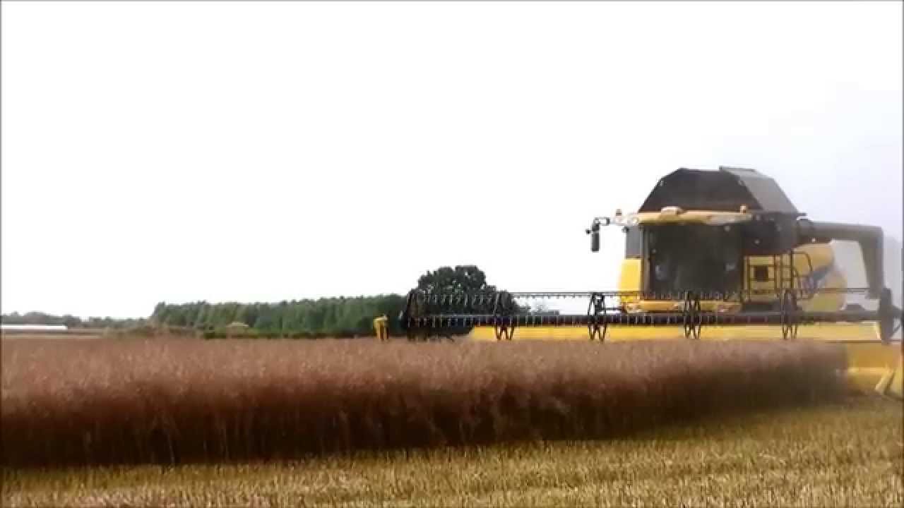 Harvest 2014 New Holland CR9080