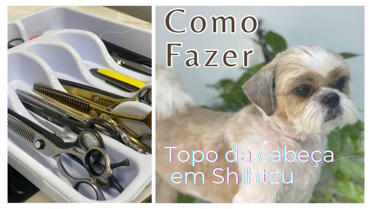 Como fazer rostinho de shihtzu parte 2 - bochechas