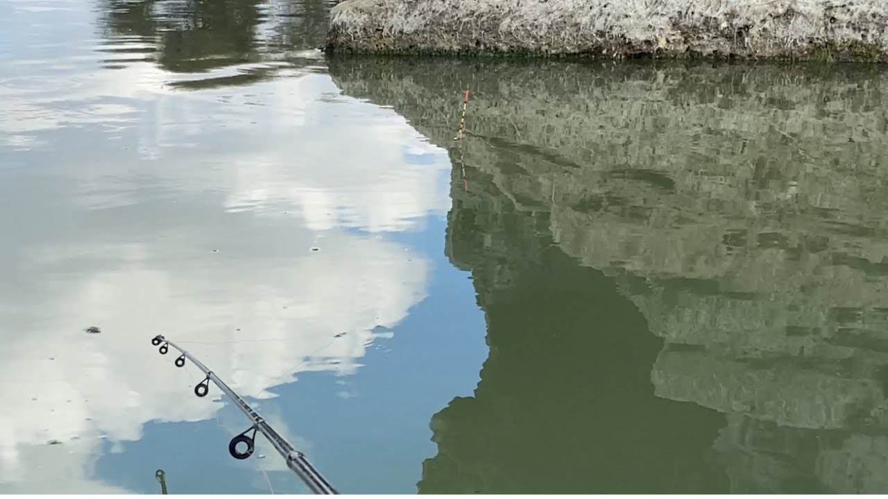 Наслаждаемся рыбалкой с молочной кукурузой и поплавковой леской Улуабат, ручей, 2021