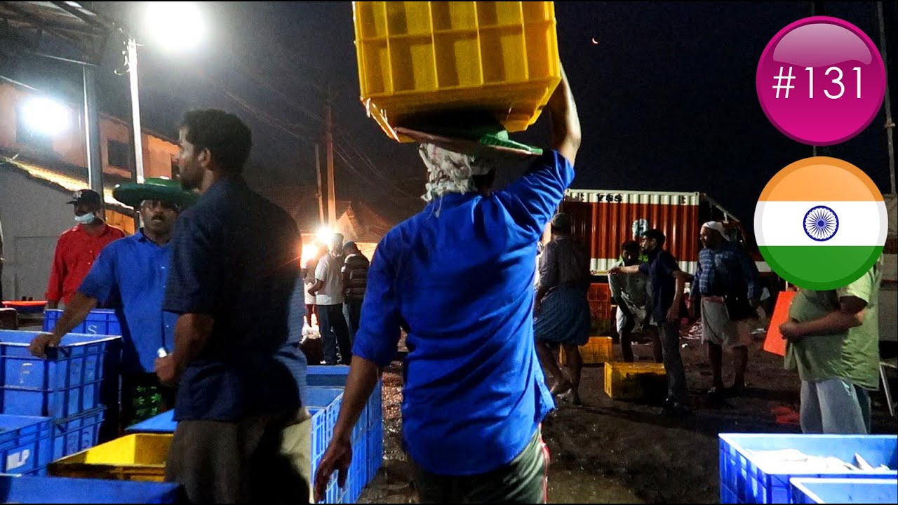 LE MARCHÉ AUX POISSONS EN INDE ! 🇮🇳 | TELLICHERRY | #131