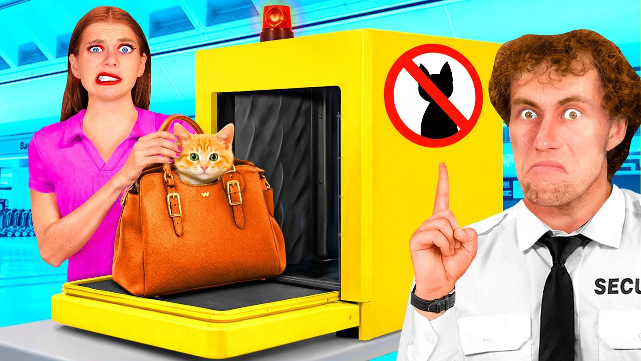 Как Пронести Домашних Животных в Самолёт | Смешные Моменты от BaRaDa Best