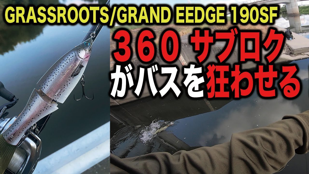 【ビッグベイト】グラインドベイト新時代！