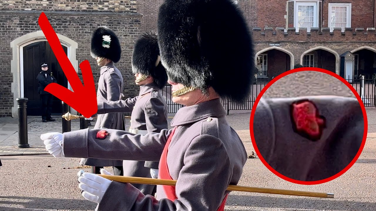 Very Rare Sighting Of This Royal Guard! #thekingsguard