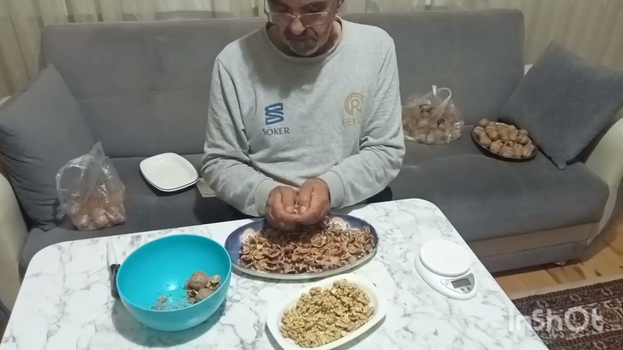 31 Ekim 2023 lara ceviz