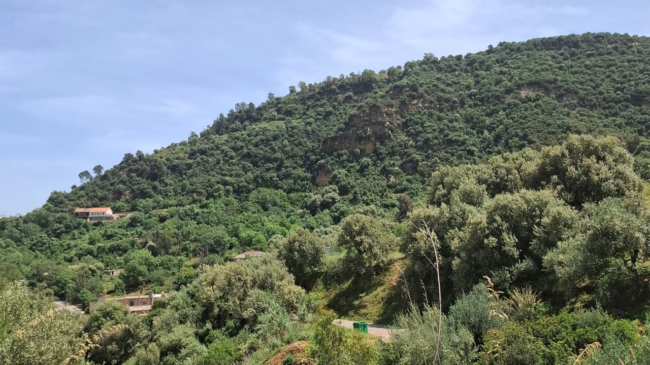 10/10/2025 | 🌄 Tizi Gheniff, perle nichée entre les montagnes du cœur...