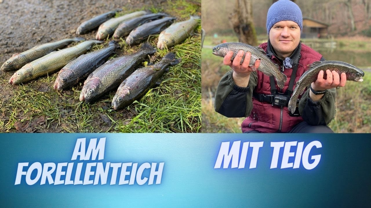#Forellen angeln am Teich mit Teig Passiv & Aktivmethoden