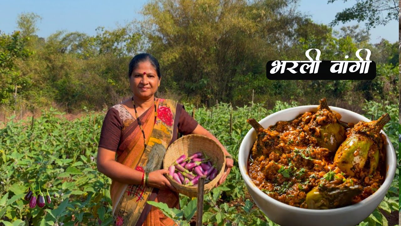 मळ्यातून काढलेल्या वांग्याची  रेसिपी 😋😋|🍆🍆 Brinjal Recipe | Traditional cooking | Village cooking 