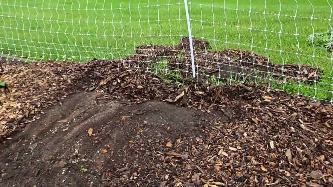 HAIL, Farmers' Market Update & What's Growing 5-14-25