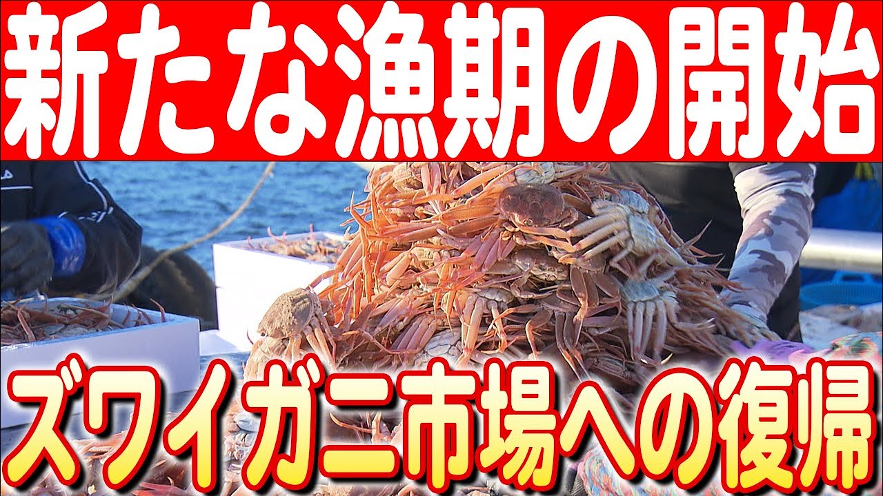 【海の恵み再開】能登半島地震後の輪島港からズワイガニ漁の始動 日本財団 海と日本PROJECT in いしかわ 2024 #20