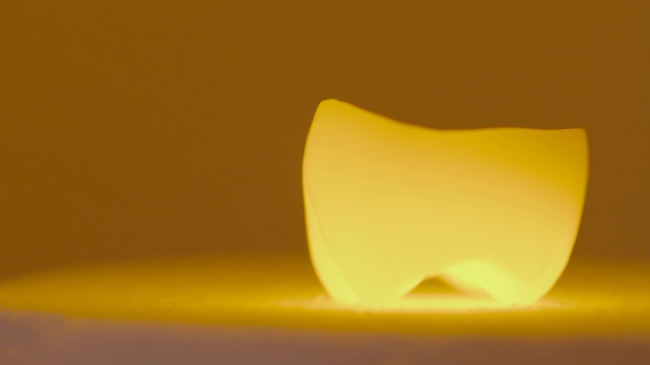The new CEREC SpeedFire (short version)