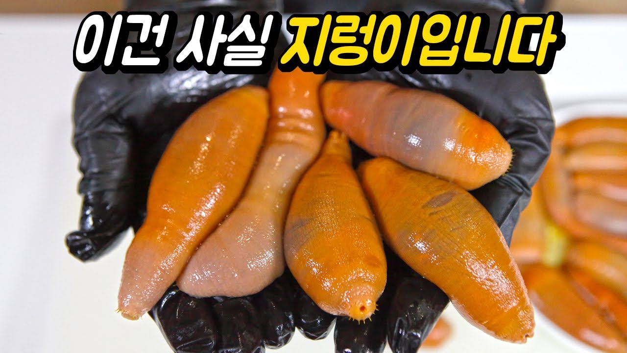 먹기 전에 알아두면 좋은 '개불(Spoon Worm)' 사용 설명서