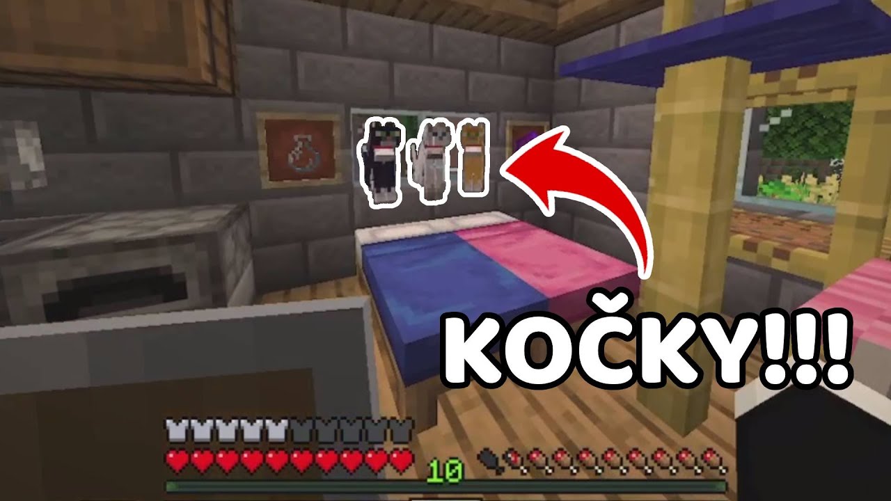 POŘÍDILI JSME SI KOČIČKY !😲😸| SERVER #9 3/3