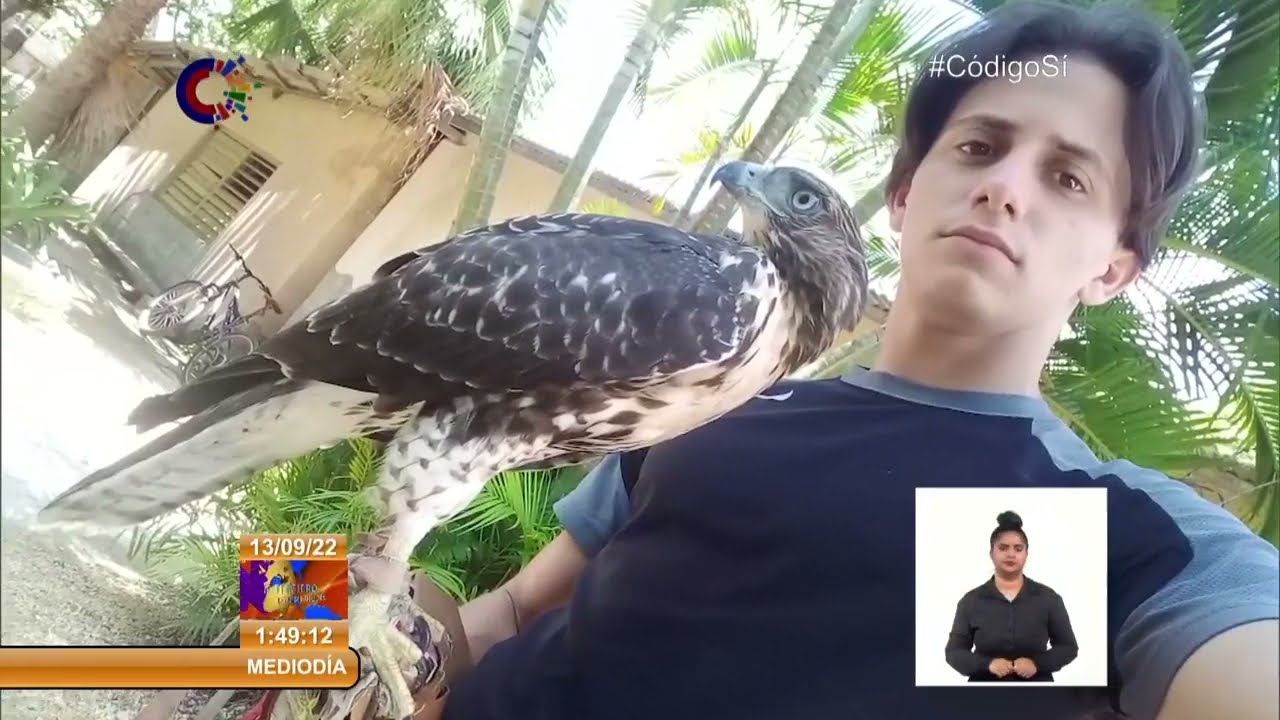 Cuba: Práctica de la cetrería para proteger aves rapaces en Las Tunas