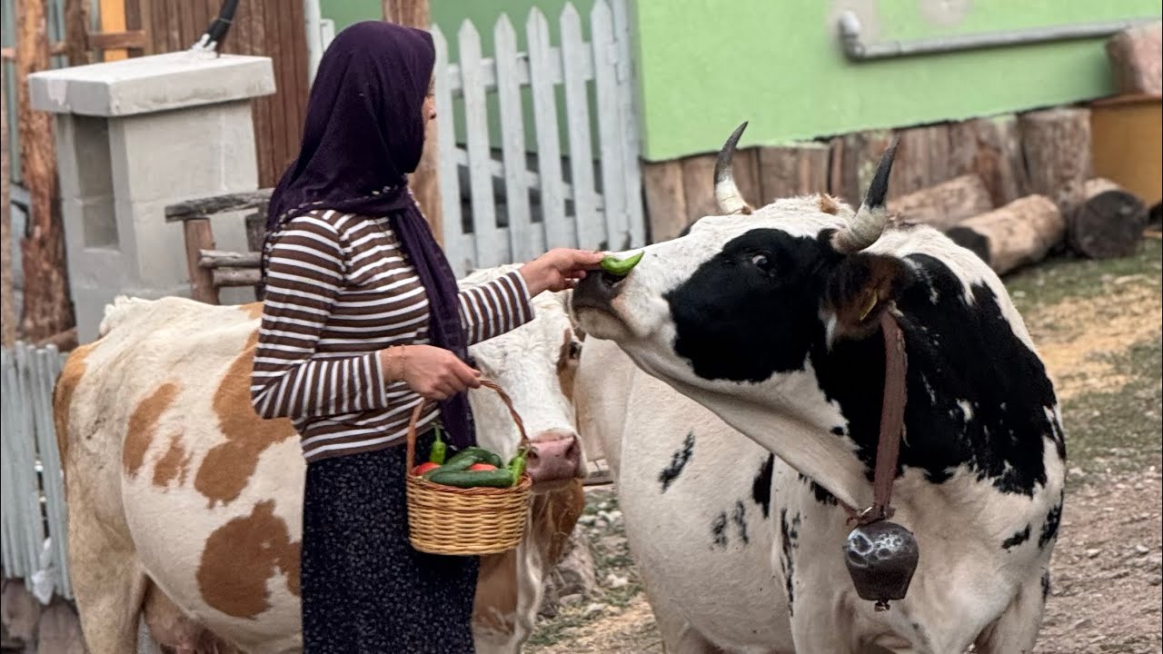 BÖYLE BİR YERDE YAŞAMAK İSTER MİYDİN..