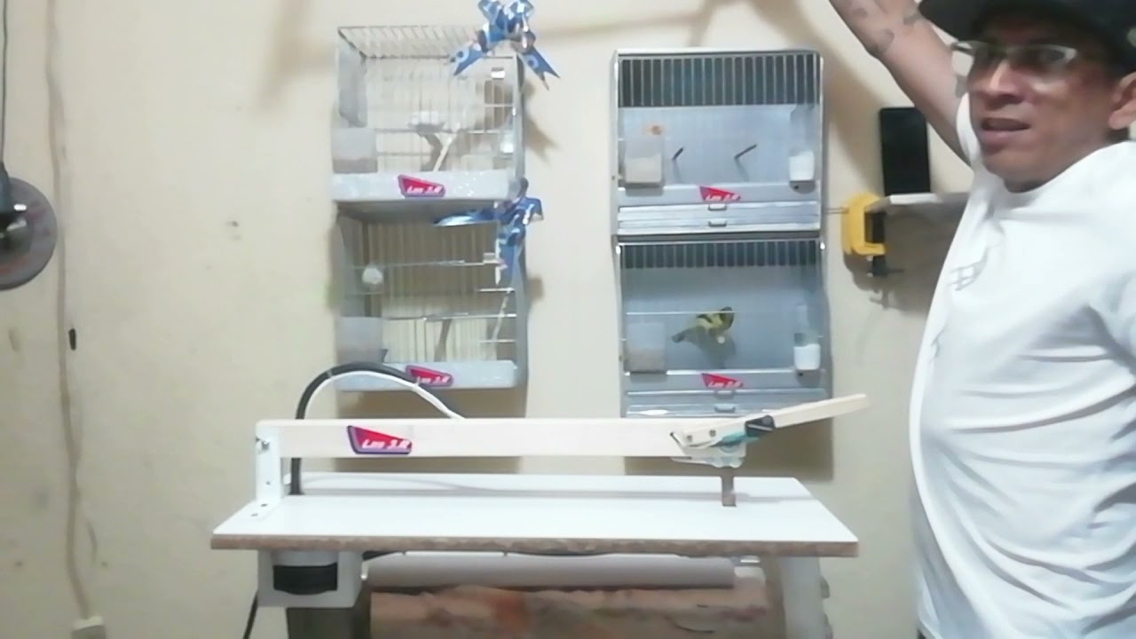 COMO HACER JAULAS MAQUINA MODELO BRASILERA 🇧🇷